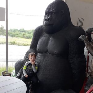 Meet your Posher, Cassie